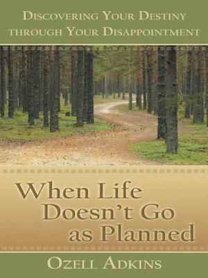 Cover of the book When Life Doesn’T Go as Planned by Steve Copland