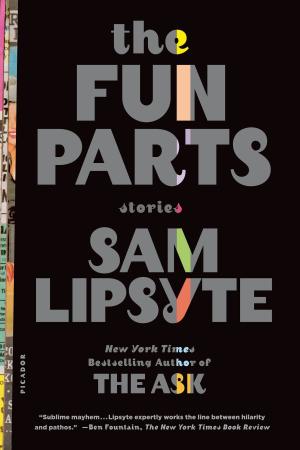 Book cover of The Fun Parts