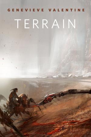 Cover of the book Terrain by Deborah Coates