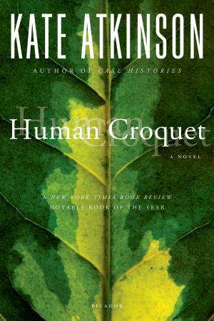 Book cover of Human Croquet