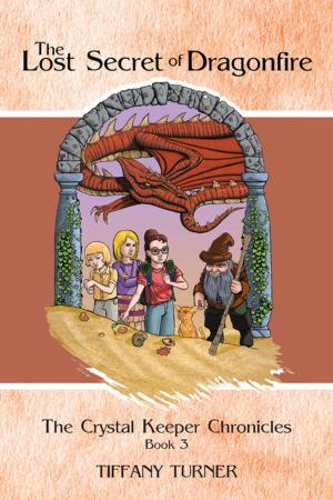 Cover of the book The Lost Secret of Dragonfire by Courtney Vail, Sandra J. Howell