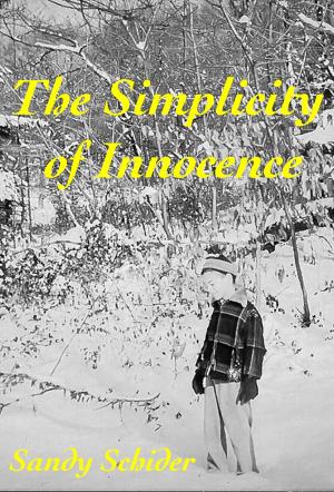 Cover of the book The Simplicity of Innocence by Bill Troutwine