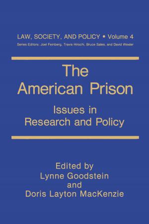 Cover of the book The American Prison by David J. Pallot