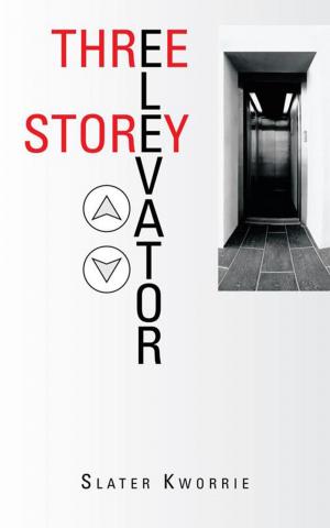 Cover of the book Three Storey Elevator by Davison Kanokanga
