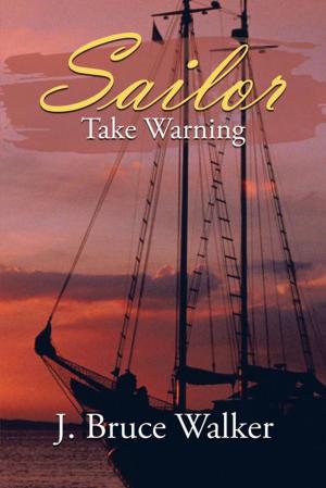 Cover of the book Sailor Take Warning by Martin Aaron Brower