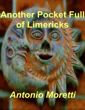 Book cover of Another Pocket Full of Limericks