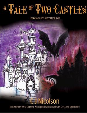 Cover of the book A Tale of Two Castles: Thane Amulet Tales Book Two by Oliver Lea, Emily Brown