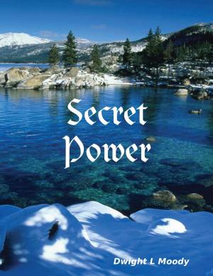 Cover of the book Secret Power by Bert Van Der Moer