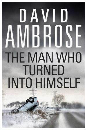 Cover of The Man Who Turned Into Himself