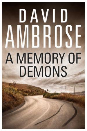 Cover of the book A Memory of Demons by Ashley Anderson