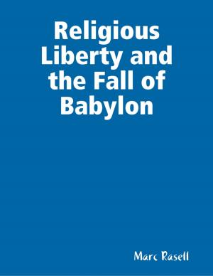 Cover of the book Religious Liberty and the Fall of Babylon by Yolandie Mostert