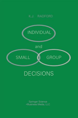 Cover of the book Individual and Small Group Decisions by John Y. Hsu