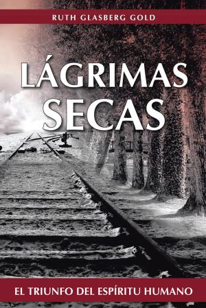 Cover of the book Lágrimas Secas by David Holdsworth