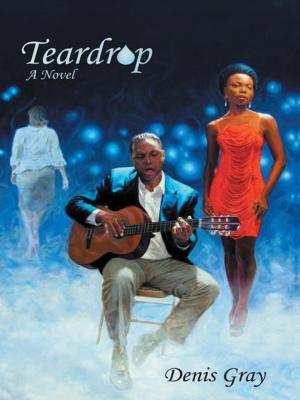 Cover of the book Teardrop by Joyce Konzem Pertl