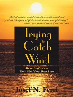 Cover of the book Trying to Catch the Wind by Paul Treatman