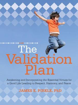 Cover of the book The Validation Plan by André Hakizimana