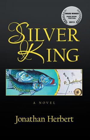 Cover of the book Silver King by B. J. Loft