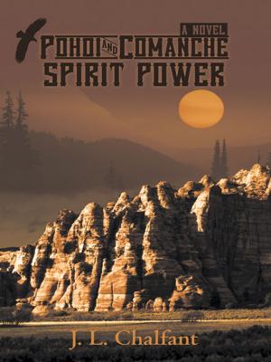 Cover of the book Pohoi and Comanche Spirit Power by BABY CHRISTIAN