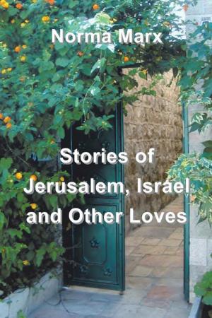 Cover of the book Stories of Jerusalem, Israel and Other Loves by Andre Farant