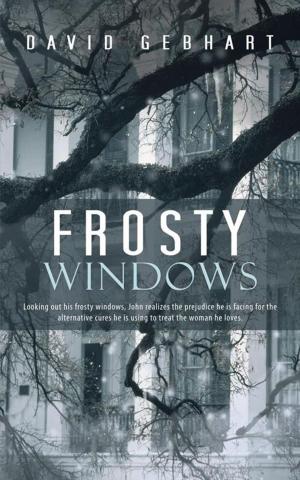 Cover of the book Frosty Windows by Elizabeth Elwood