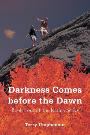 Book cover of Darkness Comes Before the Dawn