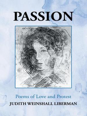 Cover of the book Passion by Paul E. Palmer Jr.