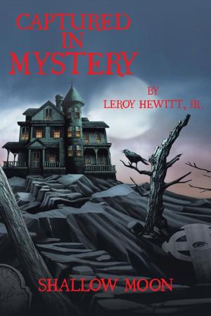 Cover of the book Captured in Mystery by Ron Gabriel