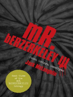 Cover of the book Mr. Berzerkeley Iii by James R. Mesich