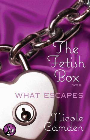 Cover of the book The Fetish Box, Part Two by Kate Walker