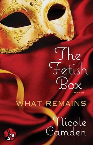 Cover of the book The Fetish Box, Part Three by Jan Burke
