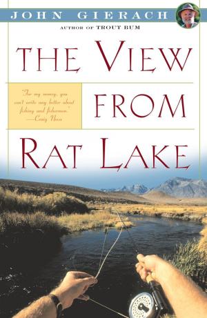 Cover of the book View From Rat Lake by Ann Hagedorn
