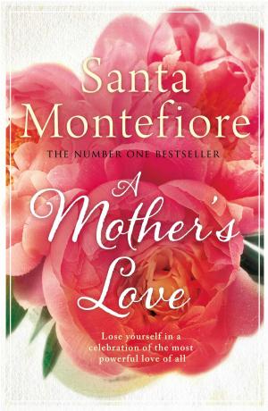 Cover of the book A Mother's Love by John Bloundelle Burton