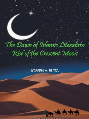 Cover of the book The Dawn of Islamic Literalism by Eddie J. Carr