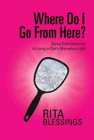 Cover of the book Where Do I Go from Here? by Anita Sutherland Millman