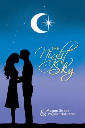 Cover of the book The Night Sky by CBDOWNEY