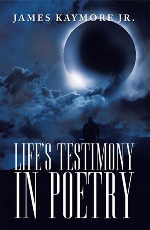 Cover of the book Life's Testimony in Poetry by Branden J. Davis