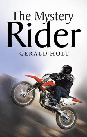 Cover of the book The Mystery Rider by D. Robert Landholt
