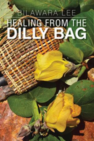 Cover of the book Healing from the Dilly Bag by Robin Freeman