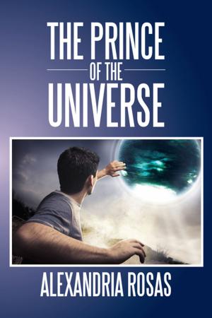 Book cover of The Prince of the Universe