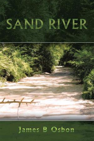 Cover of the book Sand River by K. Owens Davenport Ed.S.