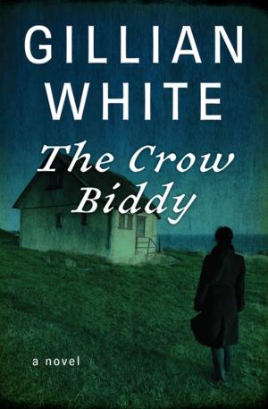 Cover of the book The Crow Biddy by Dorothy Simpson