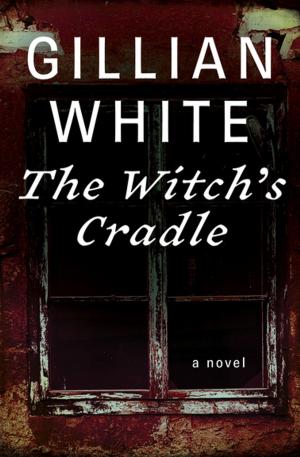 Cover of the book The Witch's Cradle by Oisín McGann