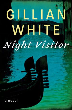 Cover of the book Night Visitor by Jaqueline Girdner