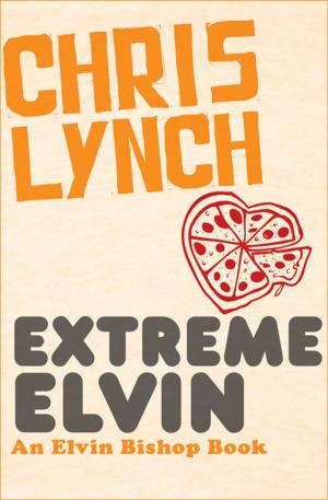 Cover of the book Extreme Elvin by Alice Hoffman