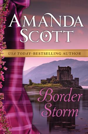 Cover of the book Border Storm by Lisa Goldstein