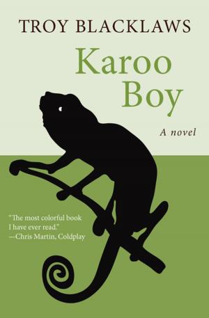 Cover of the book Karoo Boy by Alan Sillitoe