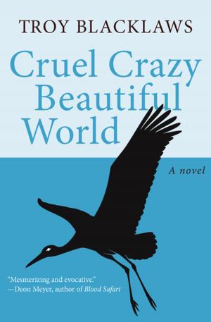 Book cover of Cruel Crazy Beautiful World