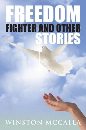 Cover of the book Freedom Fighter and Other Stories by R. W. Mills
