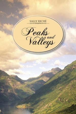 Cover of the book Peaks and Valleys by John Alvah Barnes Jr.