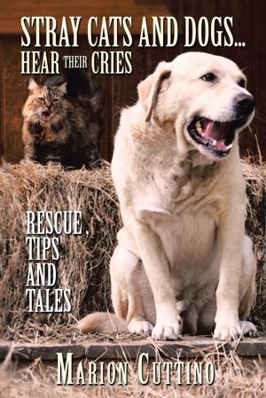 Cover of the book Stray Cats and Dogs…Hear Their Cries by Verne Foster